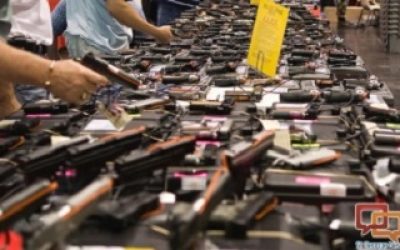 FED. JUDGE ISSUES PRELIMINARY INJUNCTION AGAINST CALIFORNIA GUN SHOW BAN—SAF