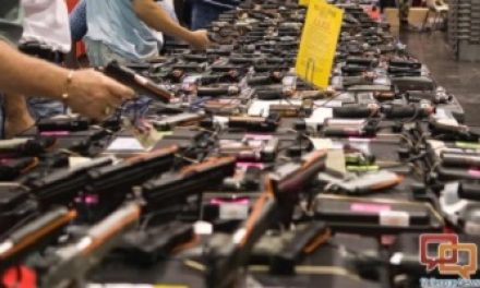 FED. JUDGE ISSUES PRELIMINARY INJUNCTION AGAINST CALIFORNIA GUN SHOW BAN—SAF