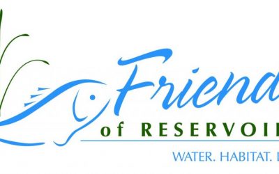 Fish Attractor Opportunity