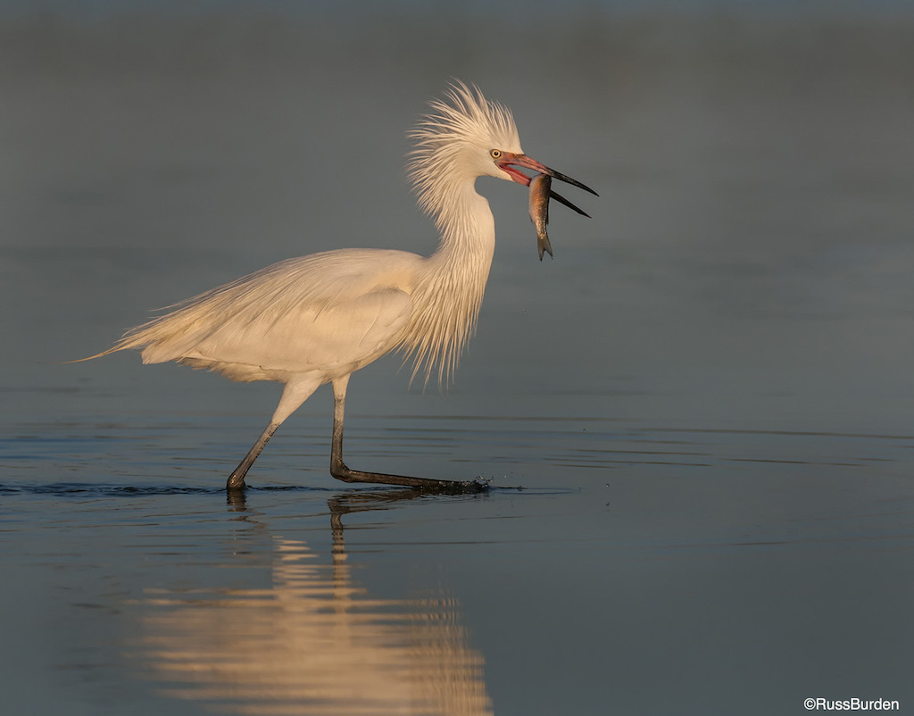 Get Down With Low-Angle Photography