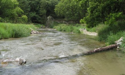 Good News for Nebraska Streams!