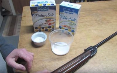 How to Make a $3 Bug-A-Salt Out of Your Pellet Rifle