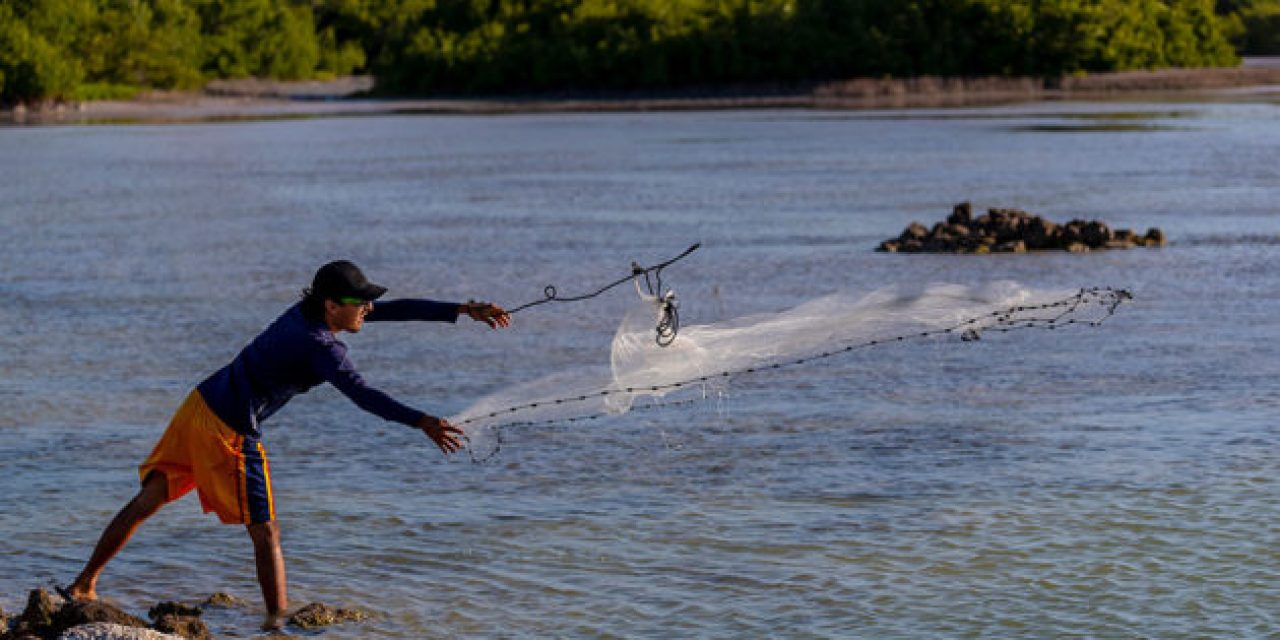 Live Bait Fishing: From the Conventional to the Non-Conventional