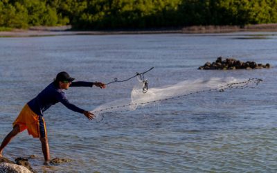 Live Bait Fishing: From the Conventional to the Non-Conventional