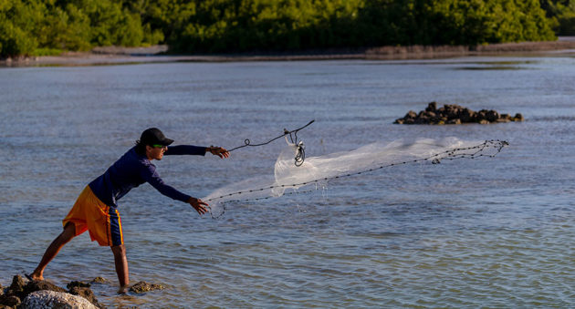 Live Bait Fishing