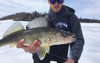 LIVETARGET Introduces New Flutter Shad for Finesse and Versatility