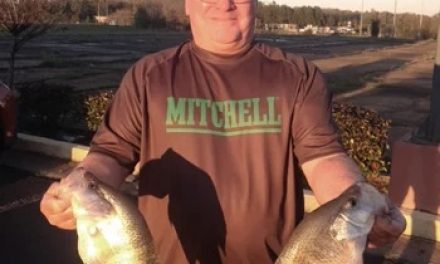 Mitchell Fishing Crappie Fishing Tips and Techniques
