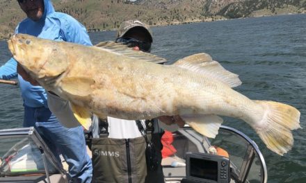 Montana Guide Finds State Record Floating In Holter Lake