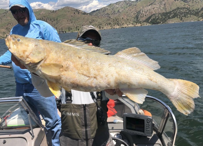 Montana Guide Finds State Record Floating In Holter Lake
