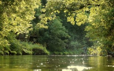 New Short Film ‘Off the Water’ Makes Fishing Out to Be Even Better Than We Thought