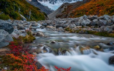 Photo Of The Day By Abe Blair