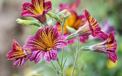 Photo Of The Day By Colleen Bartkovich