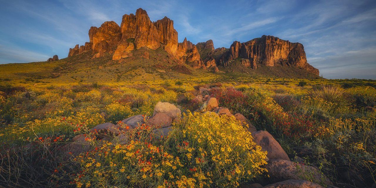 Photo Of The Day By Peter Coskun