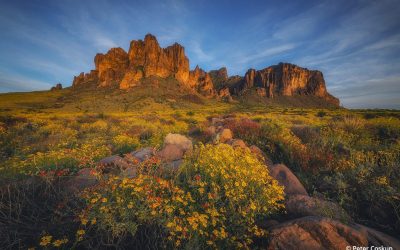 Photo Of The Day By Peter Coskun