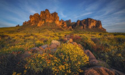 Photo Of The Day By Peter Coskun