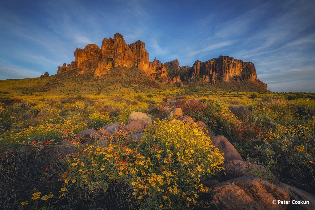 Today’s Photo Of The Day is “Gold Rush” by Peter Coskun. Location: Superstition Mountains, Arizona.