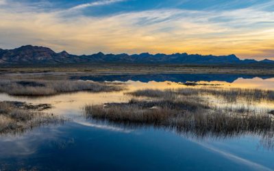 Plans Announced for 1.4 Million Acres of Hunting and Fishing Access on Federal Lands