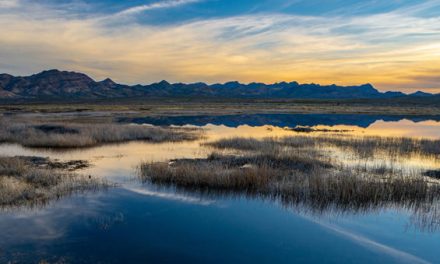 Plans Announced for 1.4 Million Acres of Hunting and Fishing Access on Federal Lands