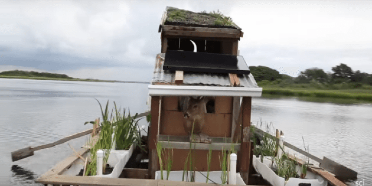 Poop and Paddle: An Eco-Friendly Floating Outhouse