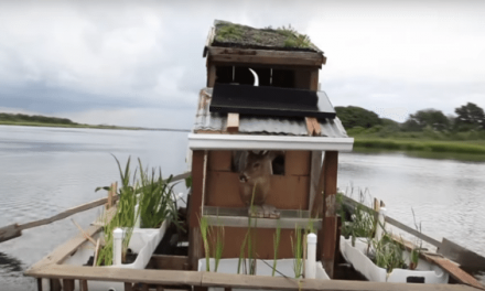 Poop and Paddle: An Eco-Friendly Floating Outhouse