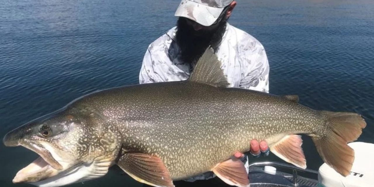 Record-Setting 48-inch Utah Trout