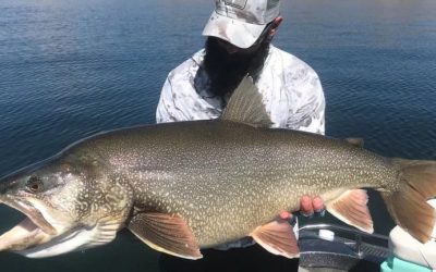 Record-Setting 48-inch Utah Trout