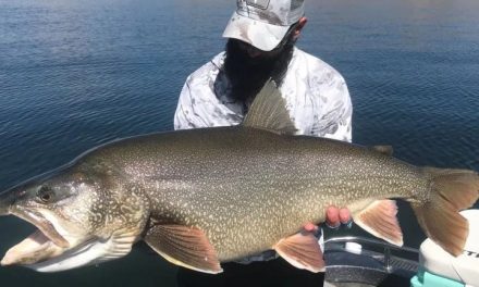 Record-Setting 48-inch Utah Trout