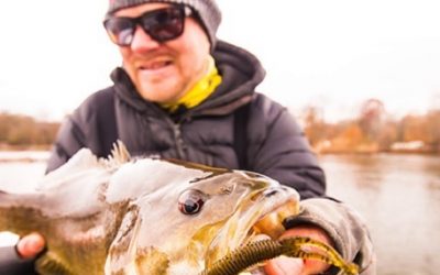 Reinforced Ned Jig Offers Pro-Level Performance