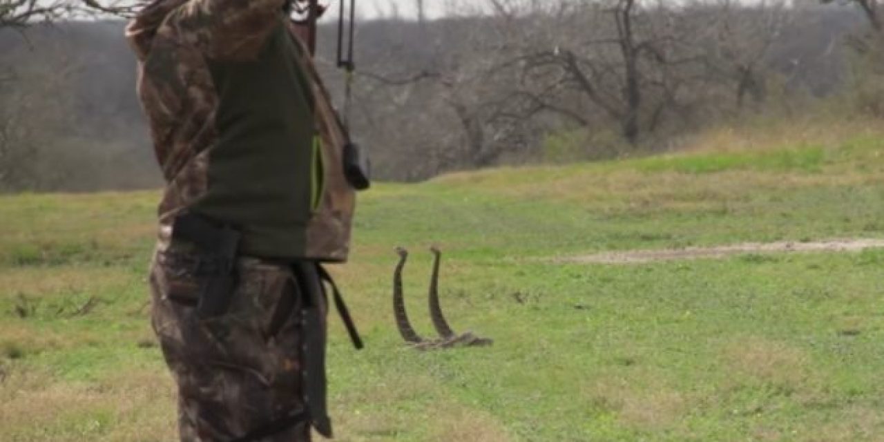 Remember When This Guy Smoked Two Rattlesnakes With One Arrow?