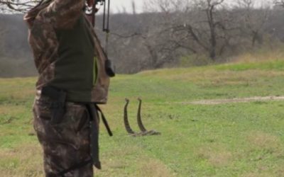 Remember When This Guy Smoked Two Rattlesnakes With One Arrow?