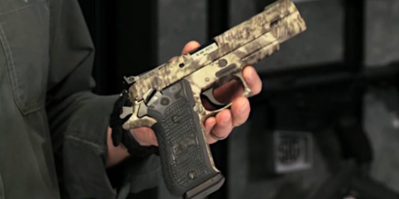 The 5 Best Performing Pistols