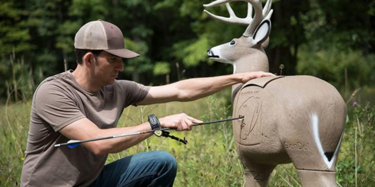 The Best 3D Archery Targets