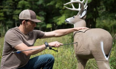 The Best 3D Archery Targets