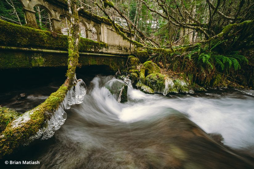 Image of fallen trees and water from the photo study “The Path of Least Resistance”