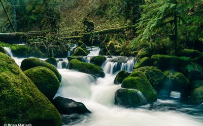 The Creative Power Of A Photo Study