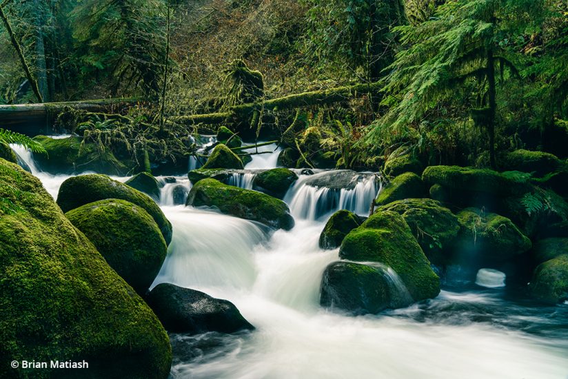 Image of a river from the photo study “The Path of Least Resistance”