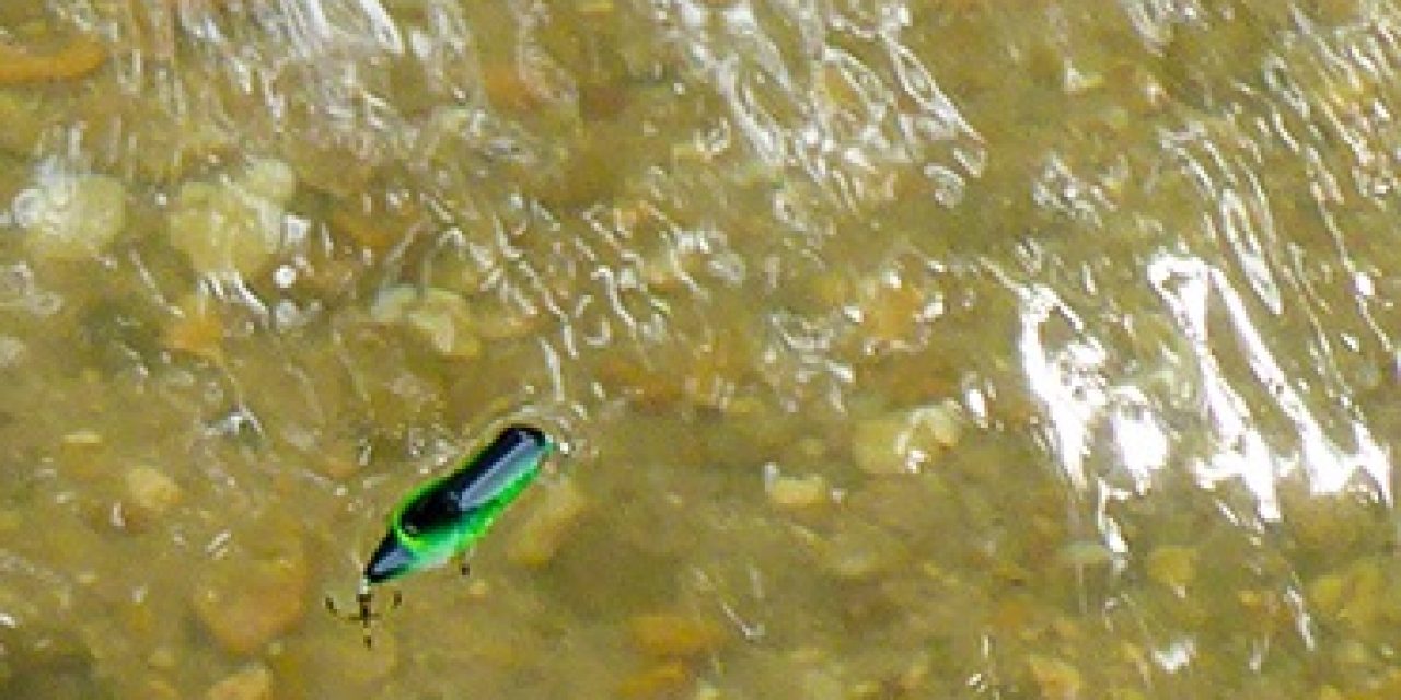 The Perfect Pairing- Creeks and Crickhoppers