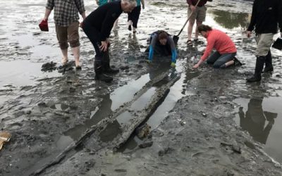 This 700-Year-Old Canoe Dug Out of the Mud is a Treasure From Pre-Columbus America