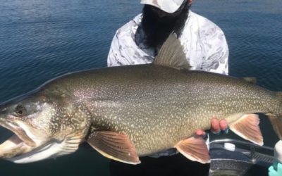 Utah’s Lake Trout Record for Catch-and-Release Just Fell to This Mammoth
