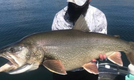 Utah’s Lake Trout Record for Catch-and-Release Just Fell to This Mammoth
