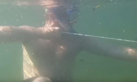 Video: So Apparently Underwater Bowfishing is Possible