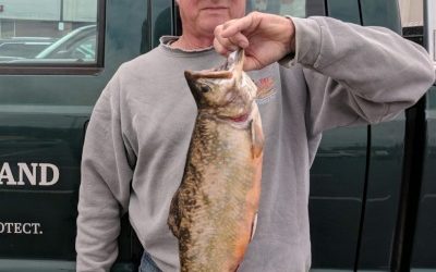 Virginia Anglers Break Two State Records This Spring with Two Tremendous Catches