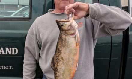 Virginia Anglers Break Two State Records This Spring with Two Tremendous Catches