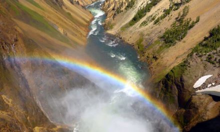 Want One of These Summer Jobs at Yellowstone National Park?