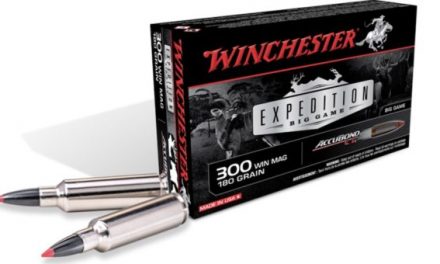 What You Need to Know About Winchester Expedition Big Game Ammo