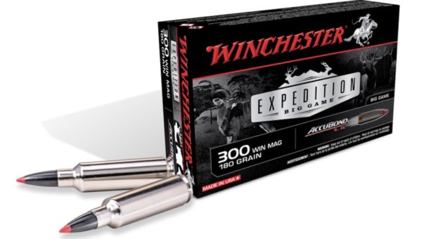 picture of Winchester Expedition Big Game Ammo