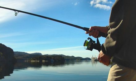 You Can Fish for Anything in the World With These 5 Easy Knots
