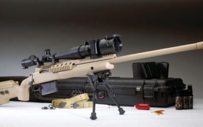 10 Famous Movie Guns, But Can You Guess the Movie?