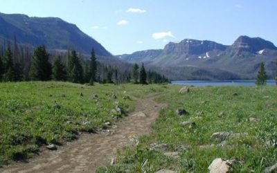 10 Summer Hiking Boots Perfect for This Time of Year
