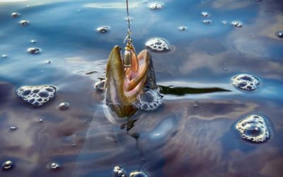 10 Trout Lures and Some Advice on How to Fish Them
